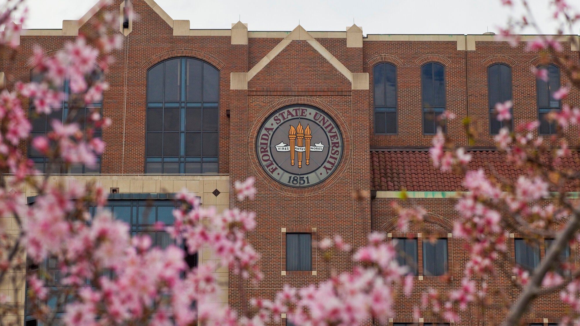 FSU banner